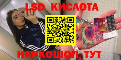 СК Можга