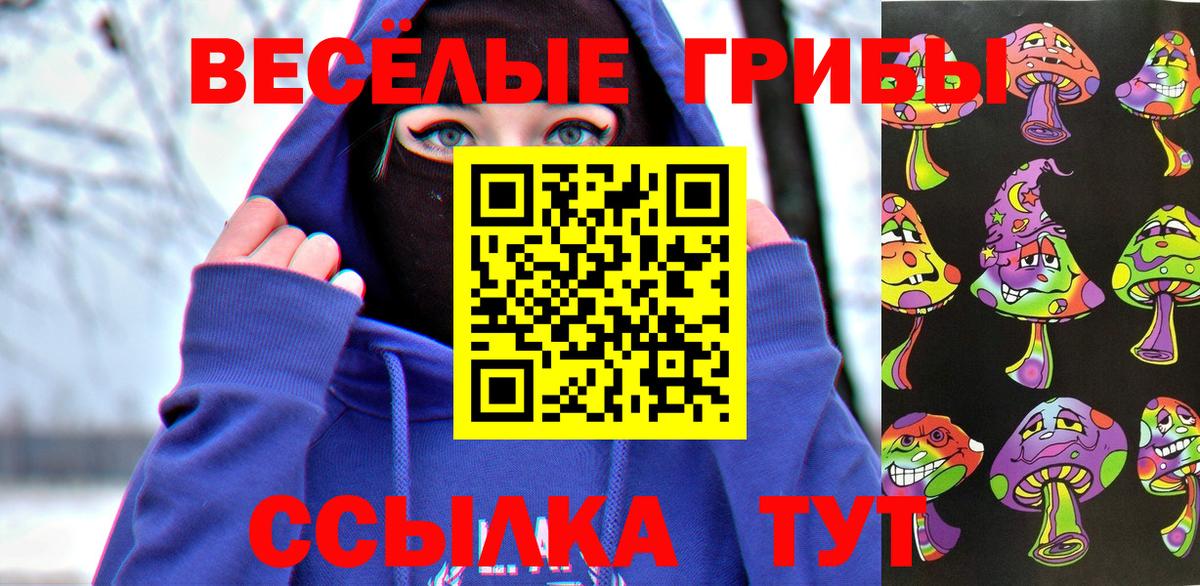 Псилоцибиновые грибы Magic Shrooms Чернушка