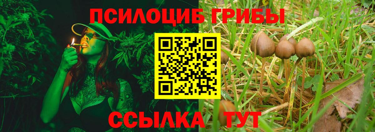 Псилоцибиновые грибы Psilocybine cubensis  Галлюциногенные грибы Magic Shrooms  Чернушка  Вход с VPN 