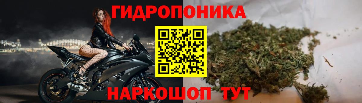Марихуана OG Kush Чернушка